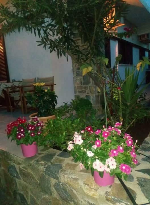 Eratous Seaside House Villa Agii Dimitrios ke Panteleimon Dış mekan fotoğraf