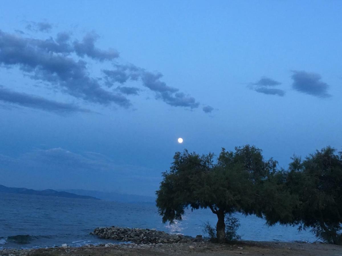 Eratous Seaside House Villa Agii Dimitrios ke Panteleimon Dış mekan fotoğraf